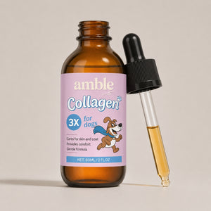 Amble Liquid Collagen for Dogs