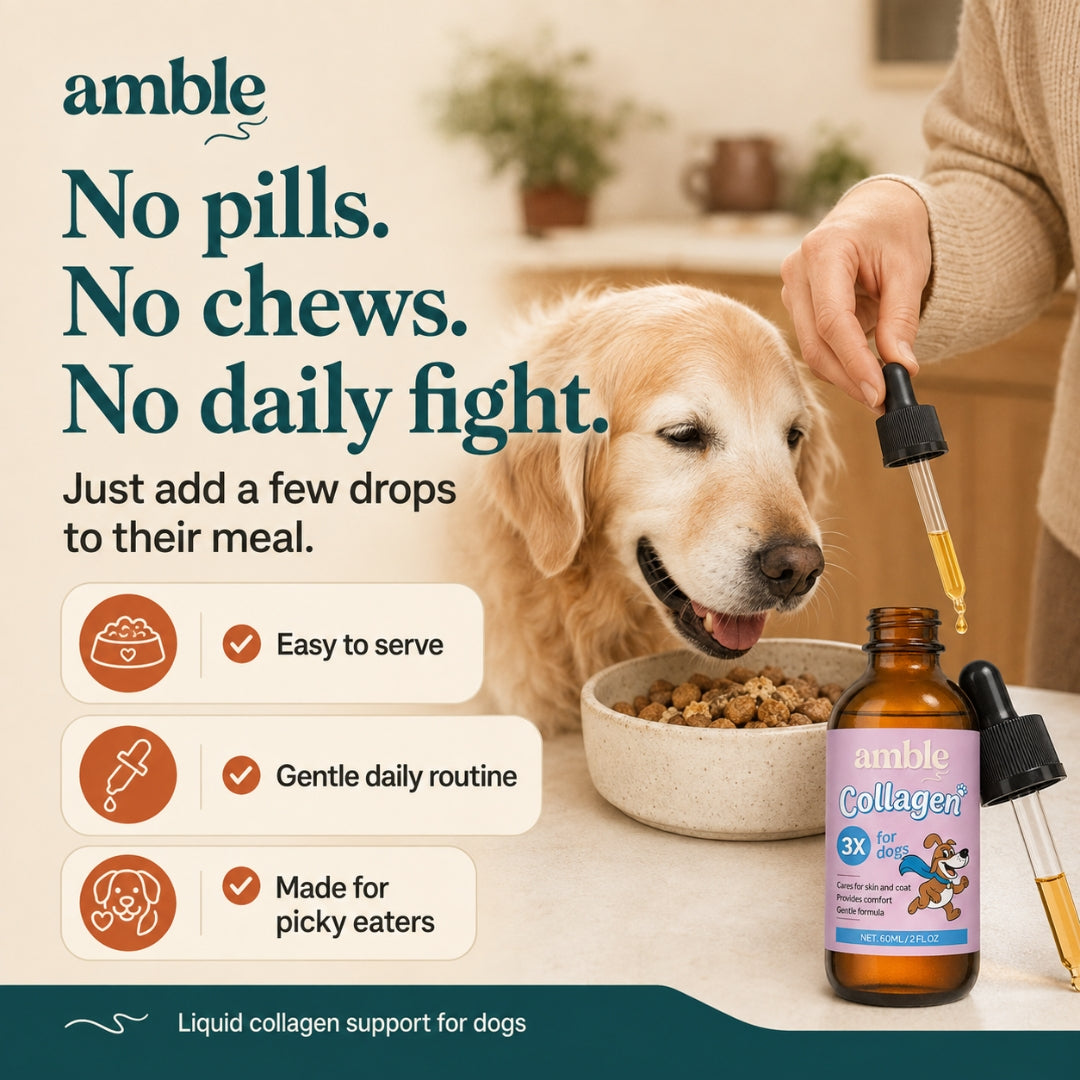 Amble Liquid Collagen for Dogs