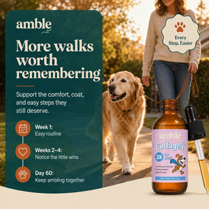 Amble Liquid Collagen for Dogs