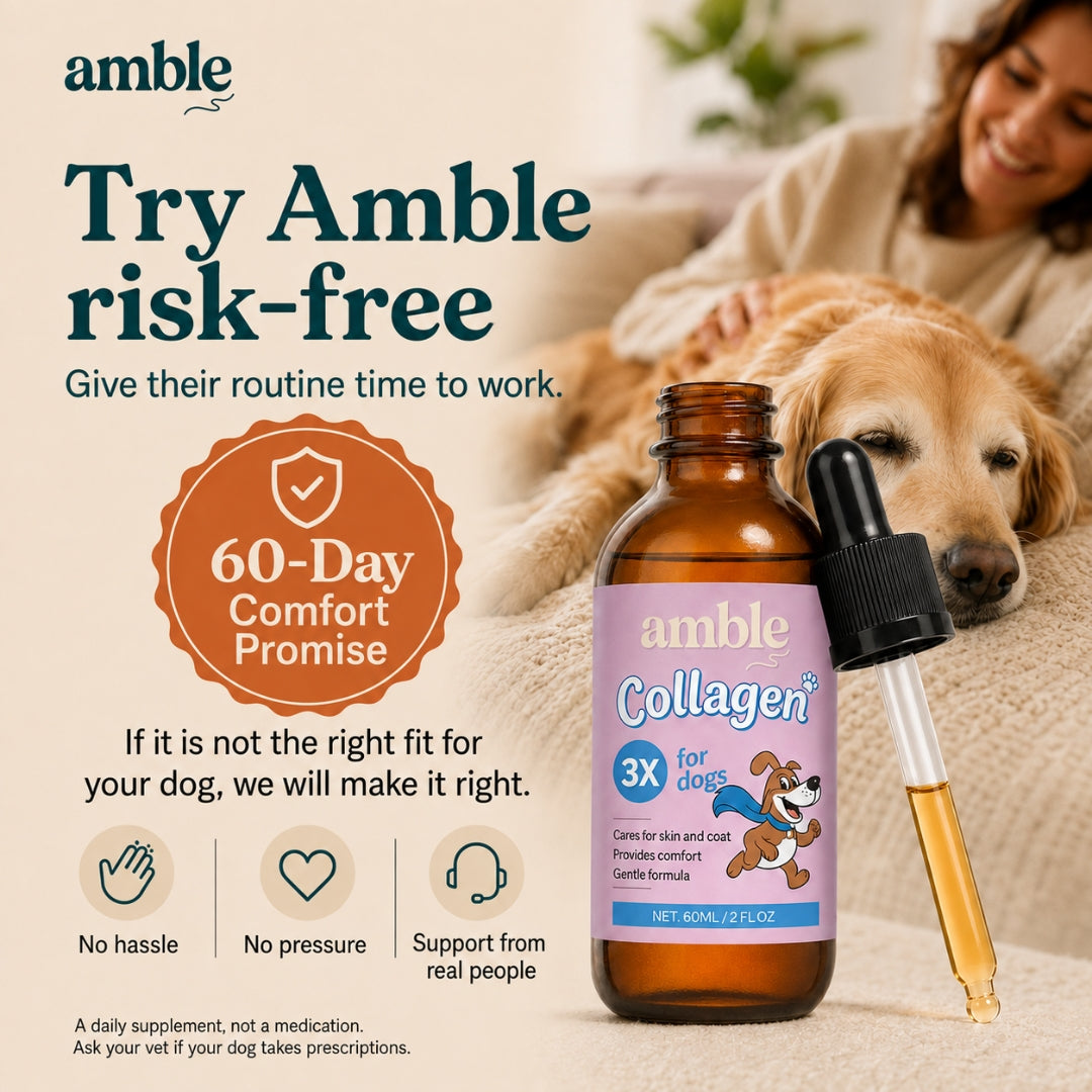 Amble Liquid Collagen for Dogs