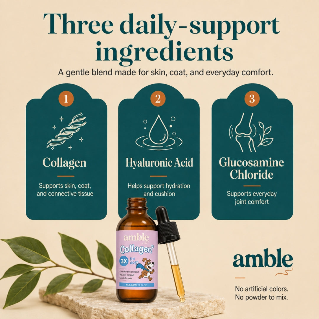 Frasco do Amble Liquid Collagen ao lado dos ingredientes
